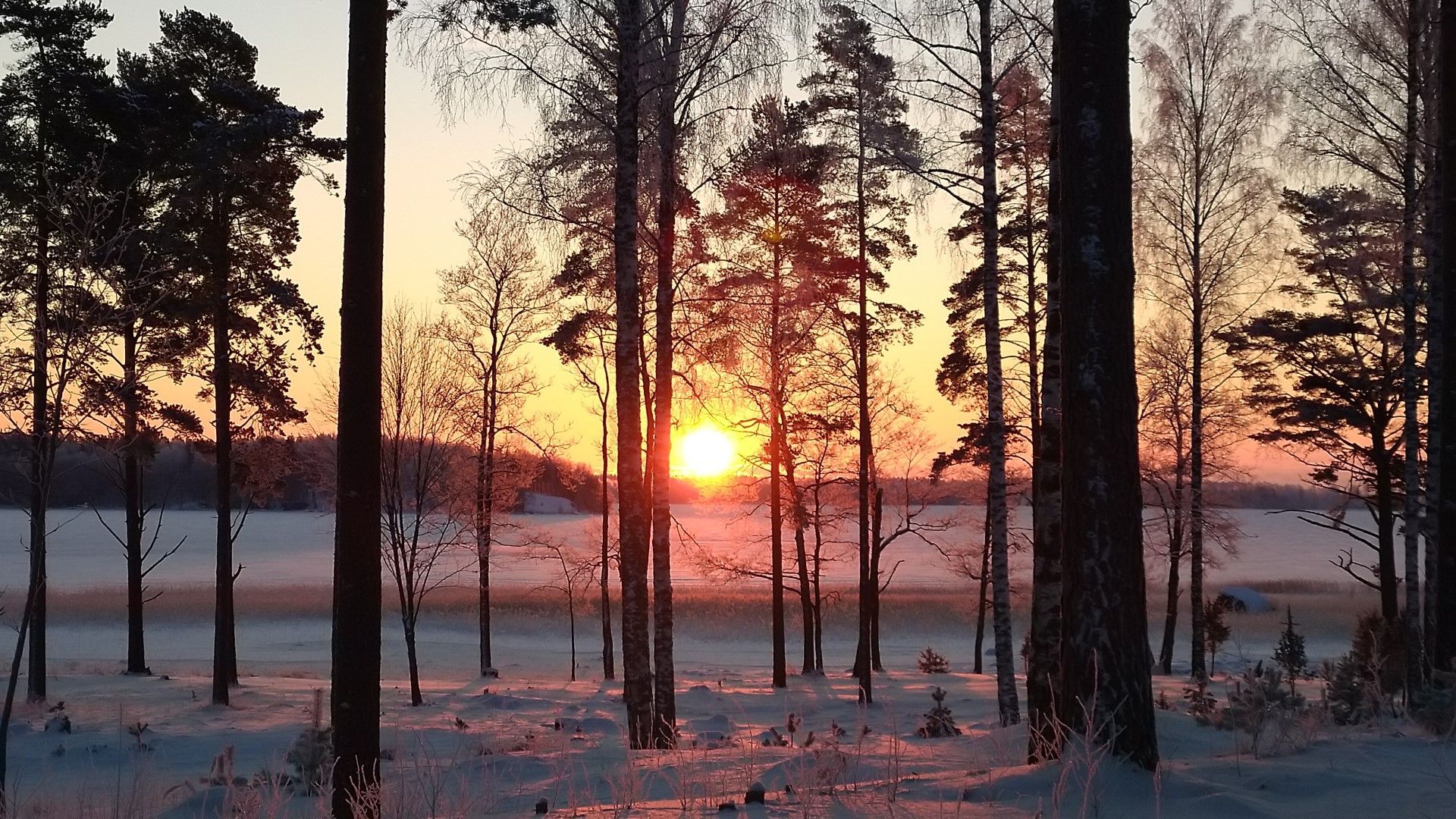 OTA YHTEYTTÄ