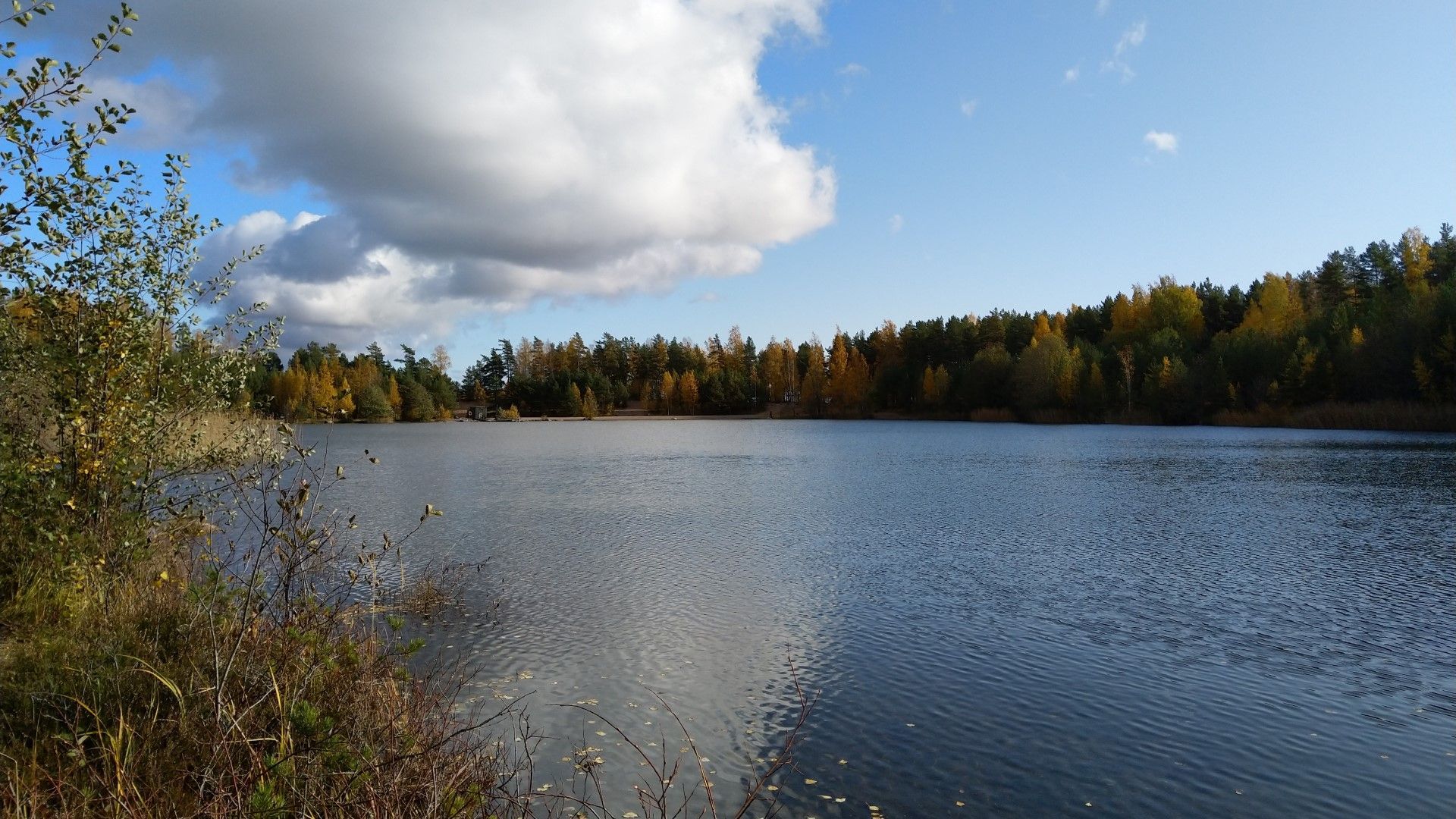 TOIMINTA TÄNÄ VUONNA