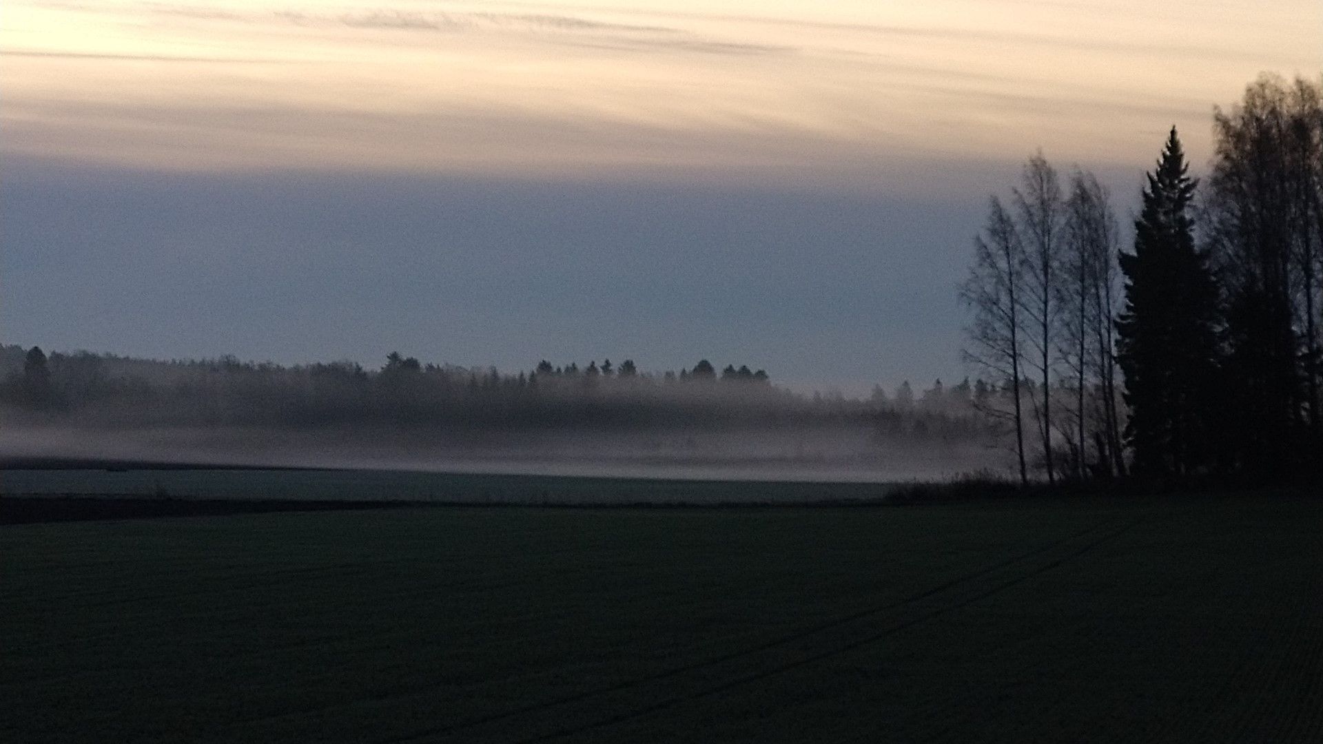 VUODEN 2019 JÄSENVIESTIT JA KESKUSTELUAIHEITA