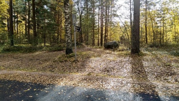 Störsvikin uimarannan alueen yleissuunnitelma nähtävillä